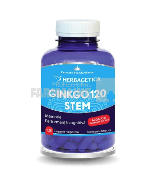 Ginkgo 120 Stem 120 capsule