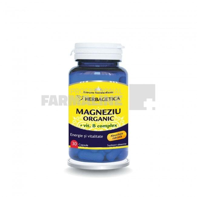 Magneziu organic cu Vitamina B complex 30 capsule