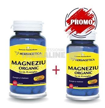 Magneziu Organic cu vitamina B Complex 60 capsule + Magneziu Organic cu vitamina B Complex 10 capsule