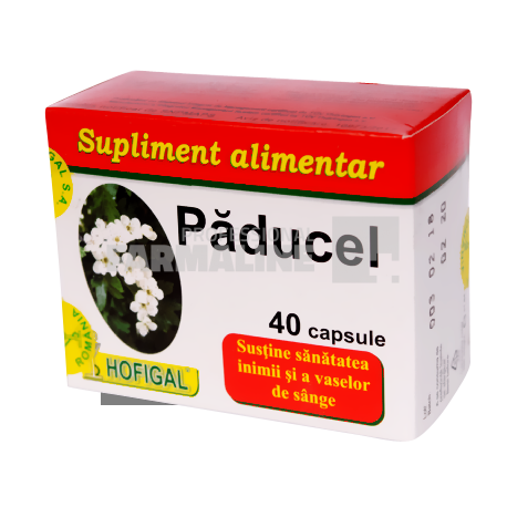 Paducel 40 capsule