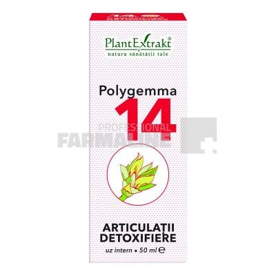 Polygemma 14 Articulaţii detoxifiere 50 ml