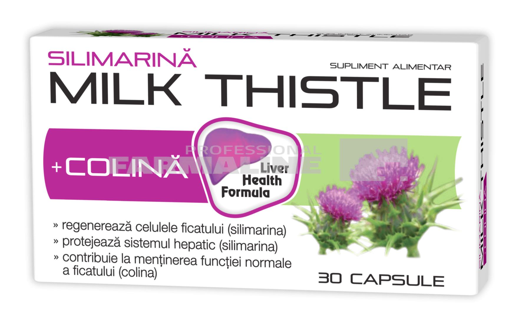 silimarina milk thistle 1000 mg pret farmacia tei Silimarina Milk Thistle + Colina 1000 mg 30 capsule