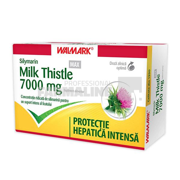 Silymarin Milk Thistle Max 7000 mg 60 comprimate