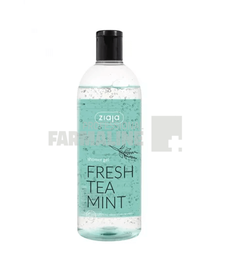 Ziaja Gel de dus cu extract din ceai si menta 500 ml