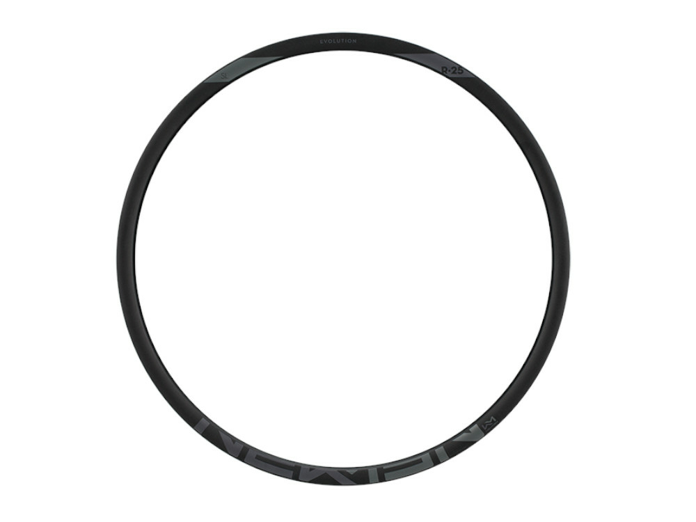 Ciclism - JANTA NEWMEN EVOLUTION SL R.25 28INCH 28H