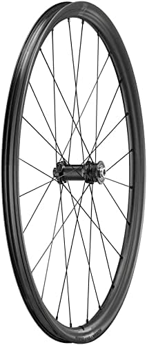 ROATA FATA FULCRUM RAPID RED CARBON 2WF C25 AFS OLD 100MM [1]