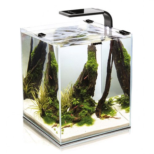 Acvariu AQUAEL Shrimp Smart 10 20x20x25cm