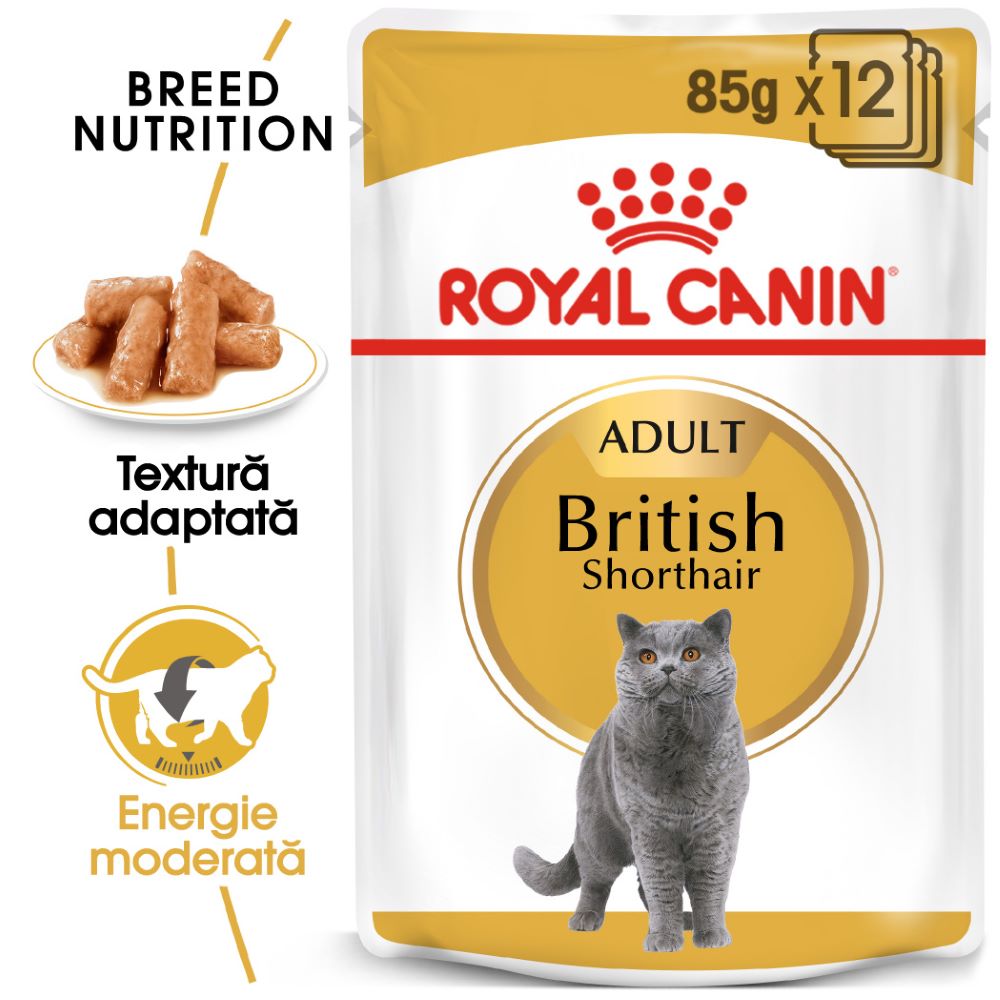 ROYAL CANIN British Shorthair 12x85g Pisica Adult 2023-09-26