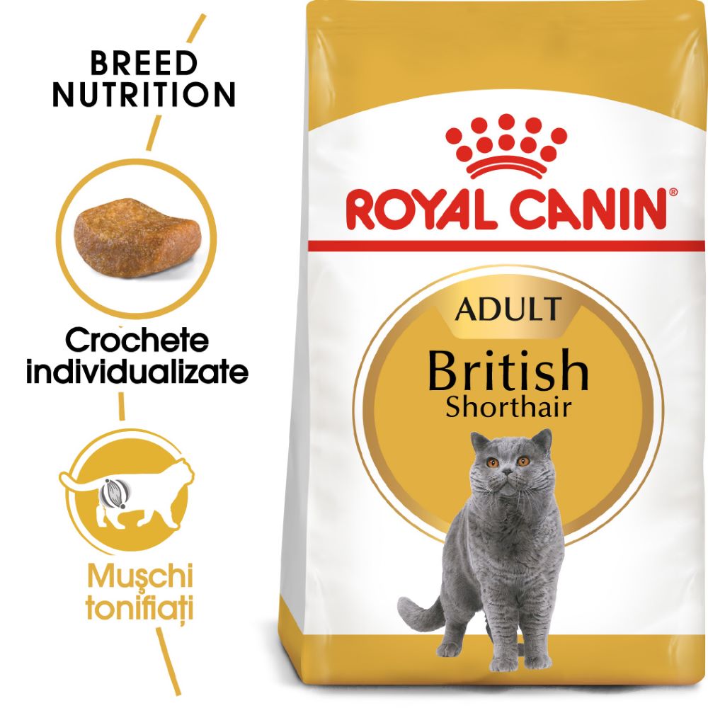 ROYAL CANIN British Shorthair Adult 34 2kg Pisica Adult 2023-09-26