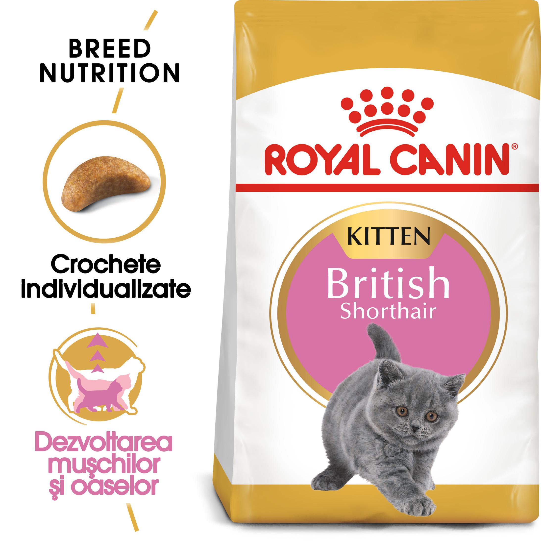 ROYAL CANIN British Shorthair Kitten 2kg Pisica Junior 2023-09-26