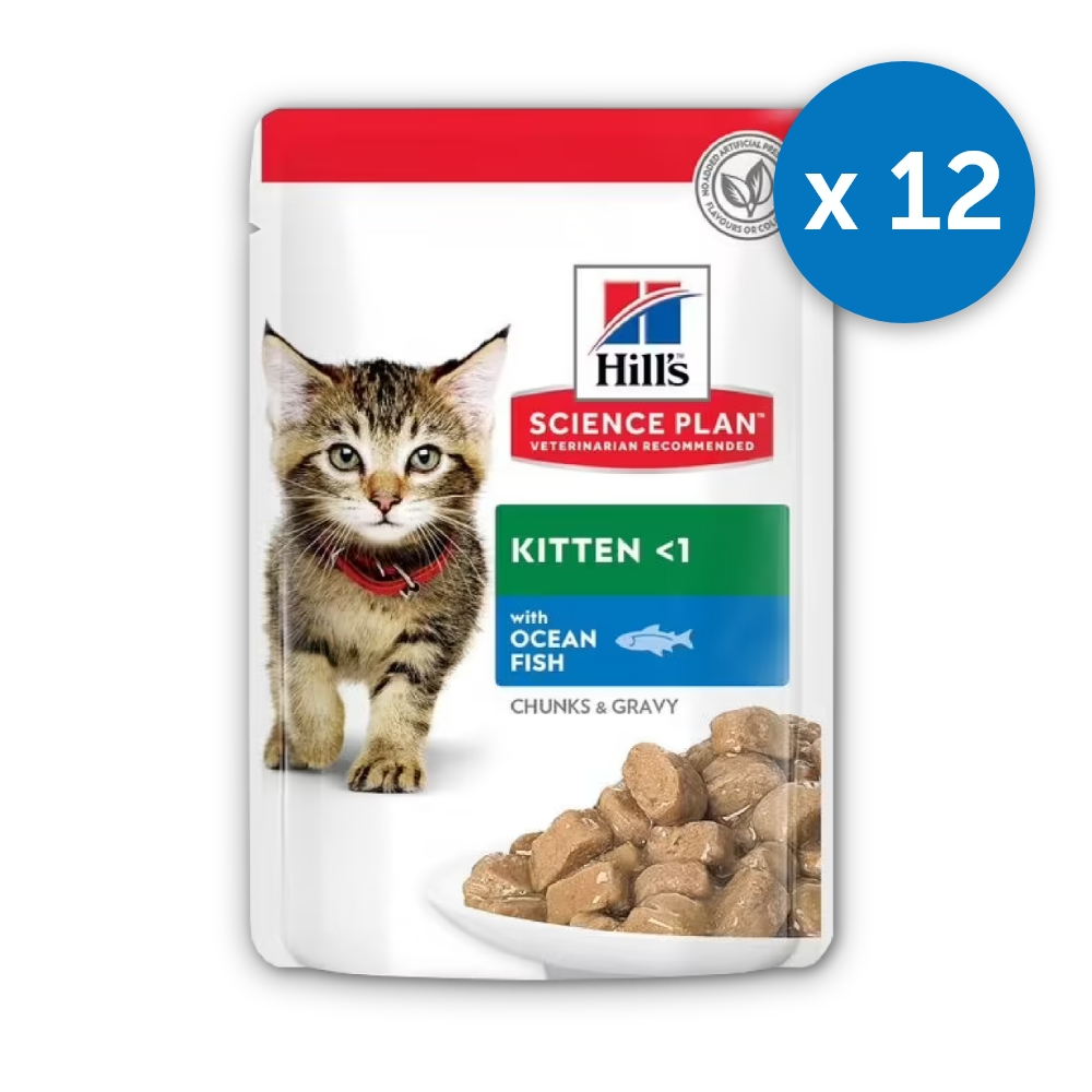 Hill\'s SP Feline Kitten Ocean Fish 12x85 gr