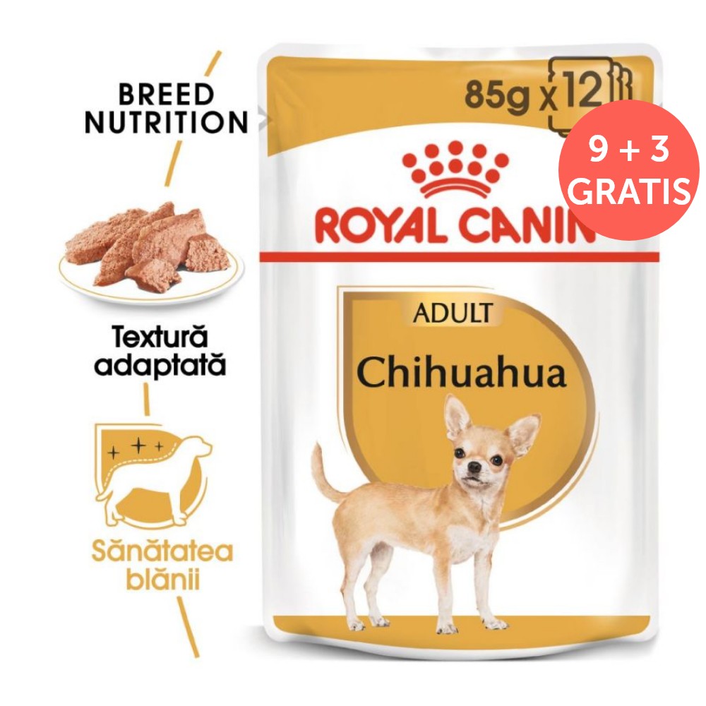 ROYAL CANIN Chihuahua 12x85g 12x85g