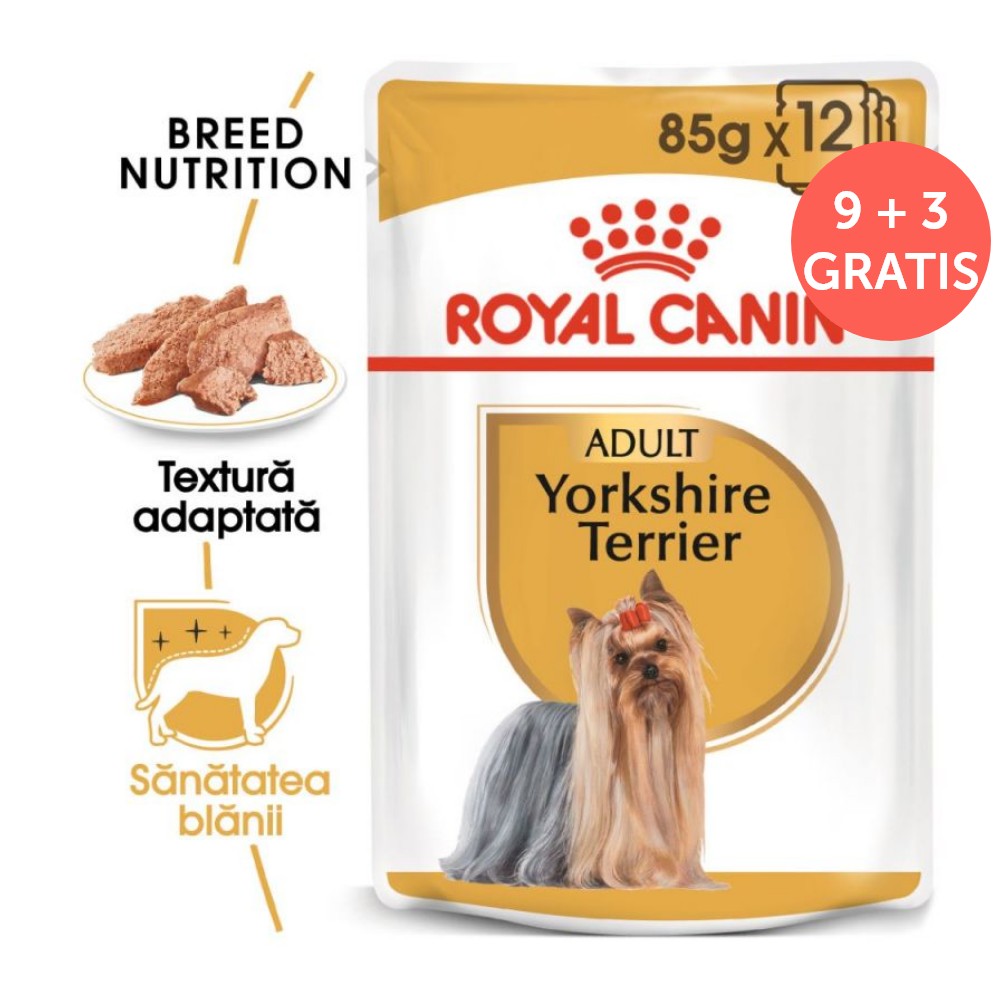 ROYAL CANIN Yorkshire Terrier Adult 12x85g 12x85g