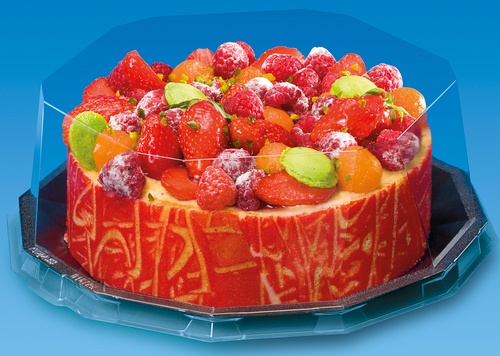 Caserole pentru tort si prajituri - Cupola tort 24cm 10buc/set, profipacking.ro