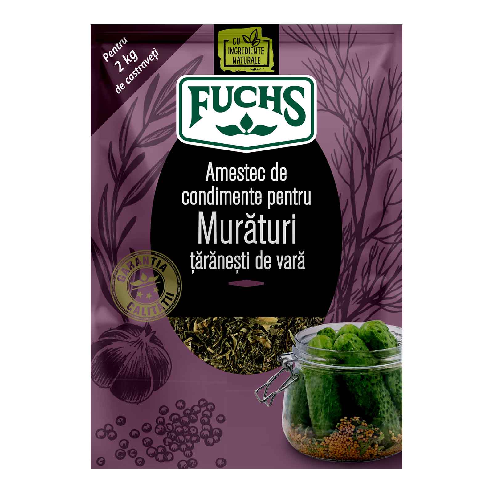 Condiment pentru muraturi taranesti, fuchs, 25g Fuchs