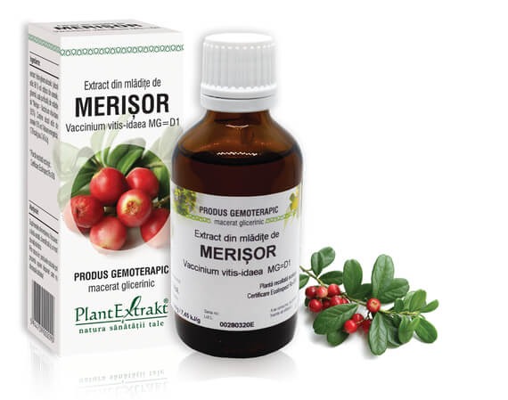Extract din mladite de Merisor, 50 ml, Plantextrakt