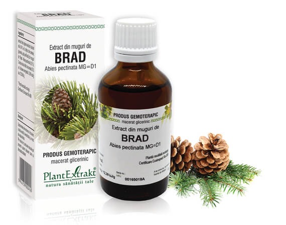 Extract din muguri de Brad, 50 ml, Plantextrakt