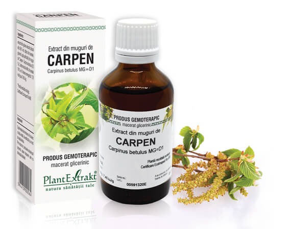 Extract din muguri de Carpen, 50 ml, Plantextrakt