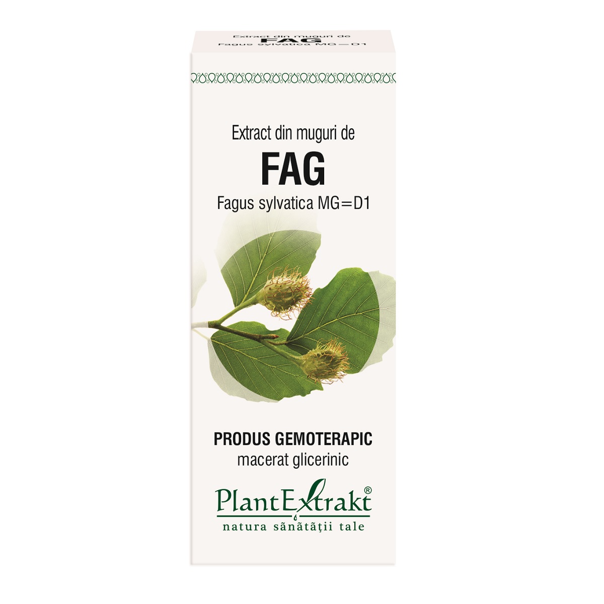 Extract din muguri de fag, 50 ml, Plantextrakt