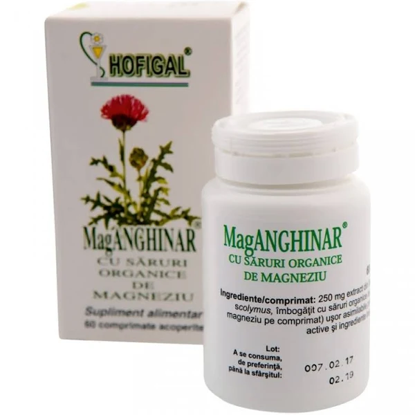 MagAnghinar cu saruri organice de magneziu, 60 comprimate, Hofigal