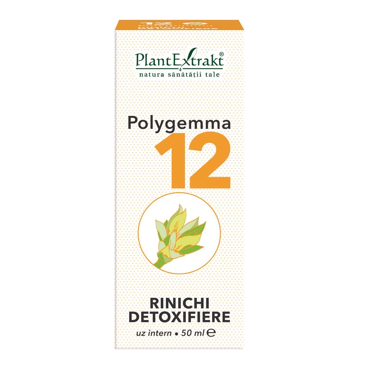 Polygemma 12 Rinichi detoxifiere, 50 ml, Plantextrakt