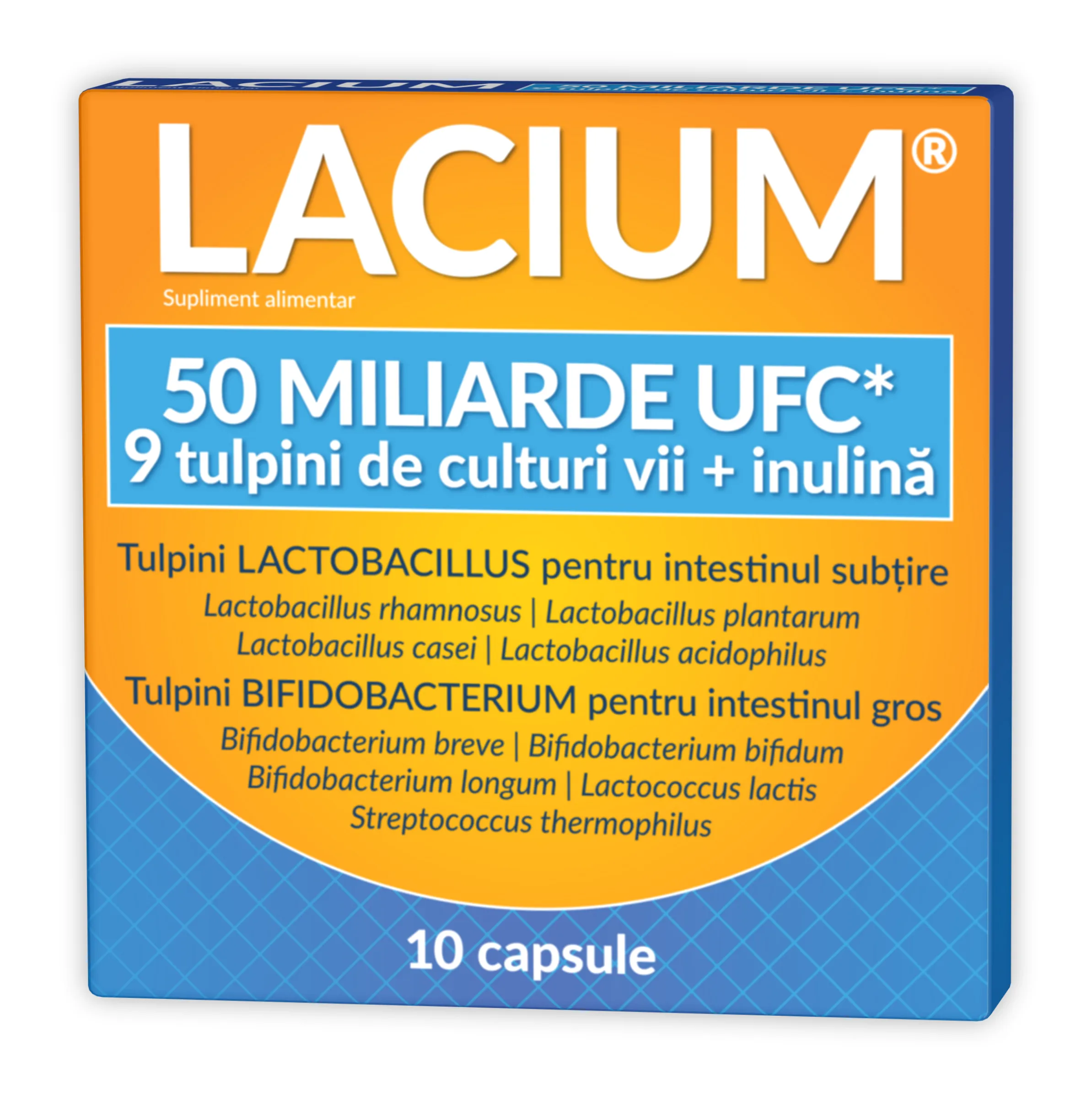 Lacium 50 miliarde UFC, 10 capsule cu eliberare prelungita, Zdrovit
