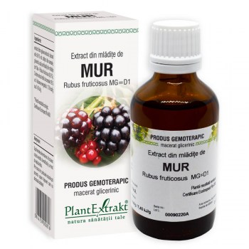 Energie și vitalitate - Extract din mlădițe de mur - Rubus fructicosus MG=D1 (PlantExtrakt), epastila.ro