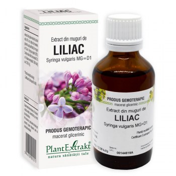 Energie și vitalitate - Extract din muguri de liliac - Syringa vulgaris MG=D1 (PlantExtrakt), epastila.ro