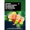 Expert In Cultivarea Plantelor De Interior
