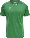 Tricou de joc hummel Core Volley - bărbați, verde 213921-6235-M