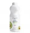 Șamponul Byphasse Family Fresh Délice pentru păr uscat cu Avocado 750ml