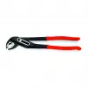 Cleste papagal SPK 1 1/2X12     RO70523
