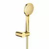 Set de dus, Deante, model Arnika Gold NQA_Z41K