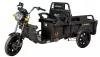 Triciclu electric cargo TRCC800 EvoTools, 800 W, 3 trepte de viteza
