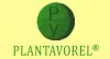 Plantavorel