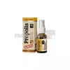 Extract natural de propolis cu argint coloidal fara alcool spray 20 ml