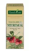 Extract din mladite de Merisor 50 ml