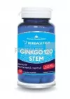 Ginkgo 120 Stem 30 capsule