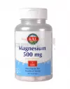 Magnesium 500 mg 60 capsule