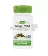 Natures Way Wild Yam Root 100 capsule