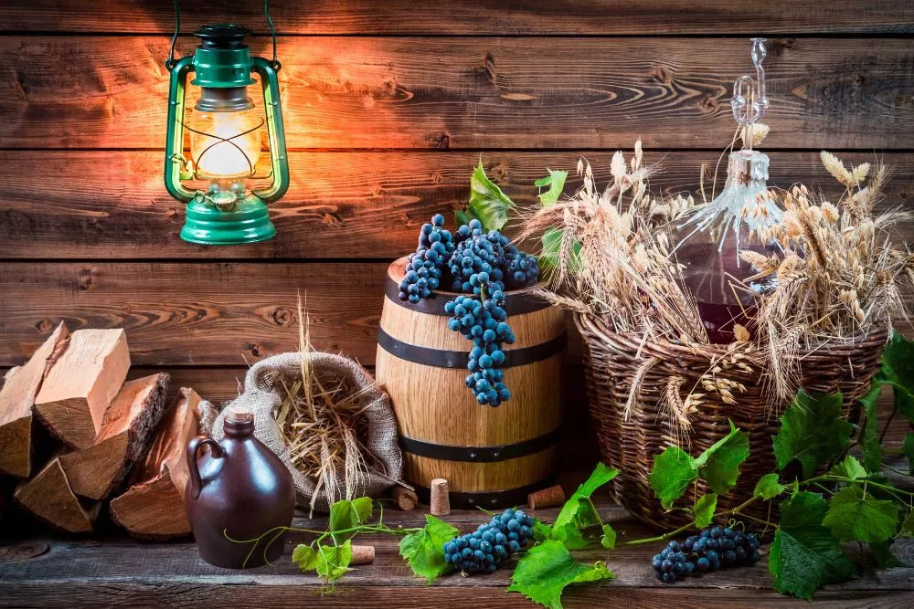 Ghidul vinificatorului – Cum să obții un vin de calitate în sezonul rece