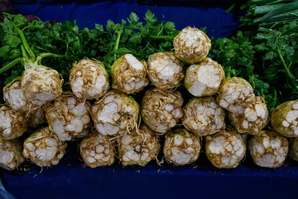 Când se seamănă țelina - ghidul tău pentru o grădină perfectă