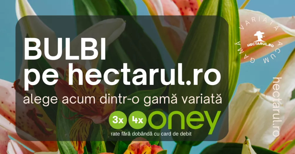 Plantarea și îngrijirea bulbilor de primăvară