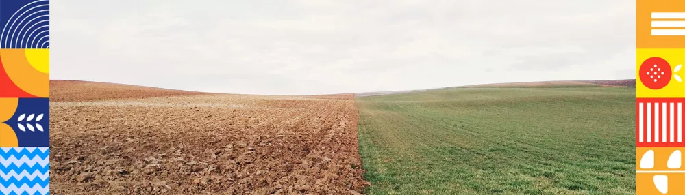 Ce sol folosim in gradina de acasa?