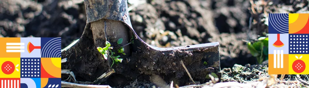 Ce semănăm și plantăm în martie?
