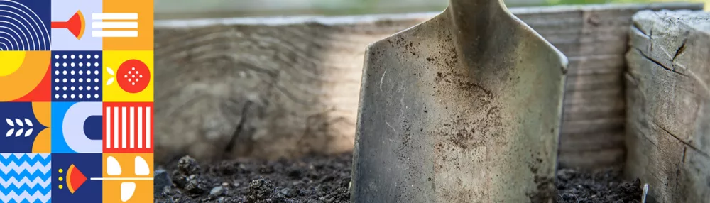 Cum pregatim pamantul din gradina pentru plantare?