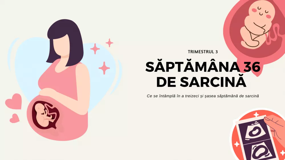 Săptămâna 36 de sarcină - Ce se întâmplă în a 36 săptămână de sarcină