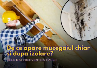 De ce apare mucegaiul chiar si dupa izolare Cele mai frecvente 5 cauze