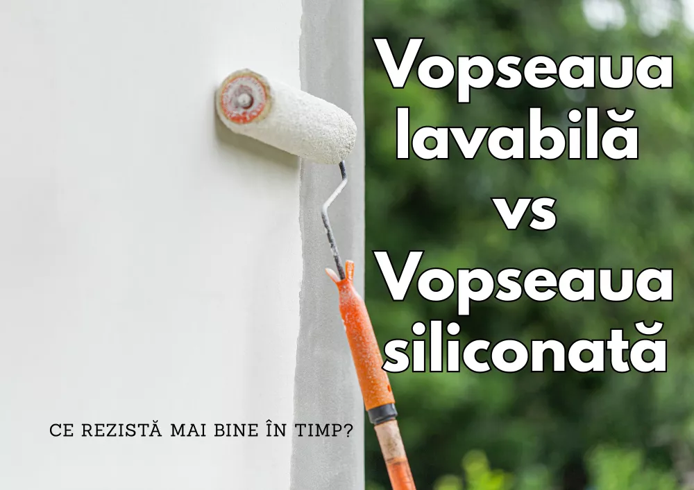 Vopsea lavabilă vs vopsea siliconată – ce rezistă mai bine în timp?