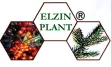 ELZIN PLANT